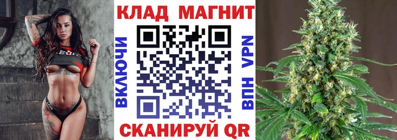 LSD-25 Иланский