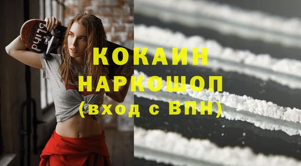 индика Алзамай