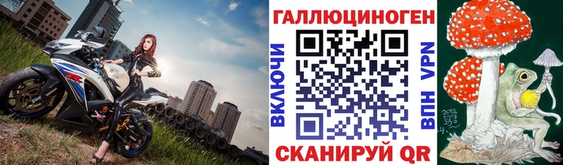 Псилоцибиновые грибы Psilocybe  Иланский 
