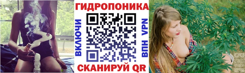 Конопля индика  наркошоп  Иланский 
